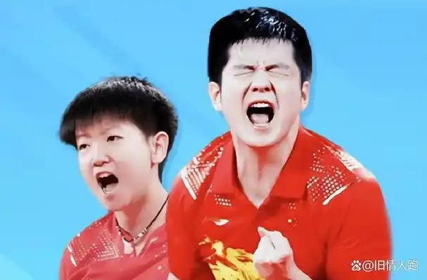 乒乓球世联赛世界排名:樊振东孙颖莎第一,张本伊藤美诚紧随其后