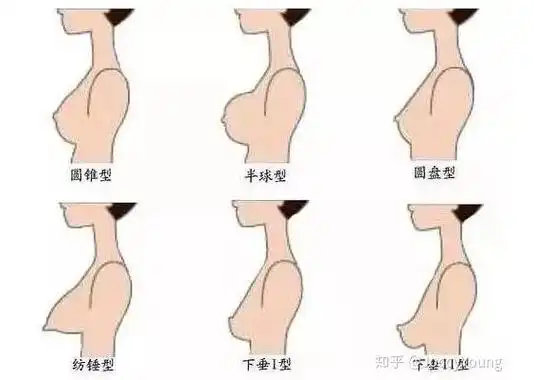 女性胸围尺寸科普真实abcdefg罩杯到底多大图
