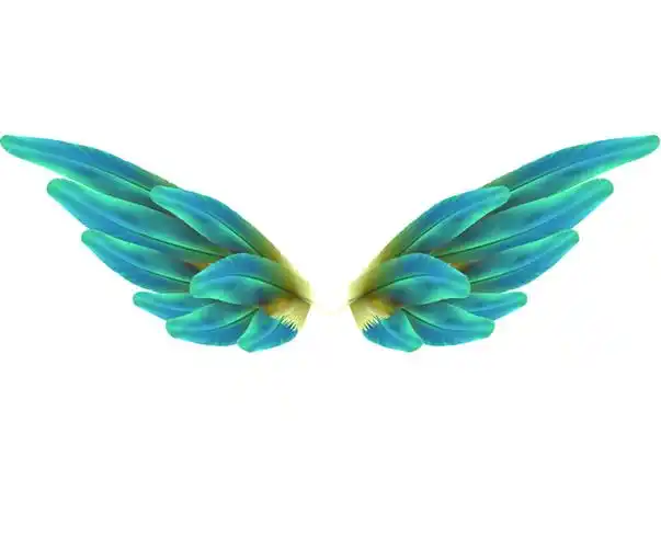 天使的翅膀图片psd分层素材