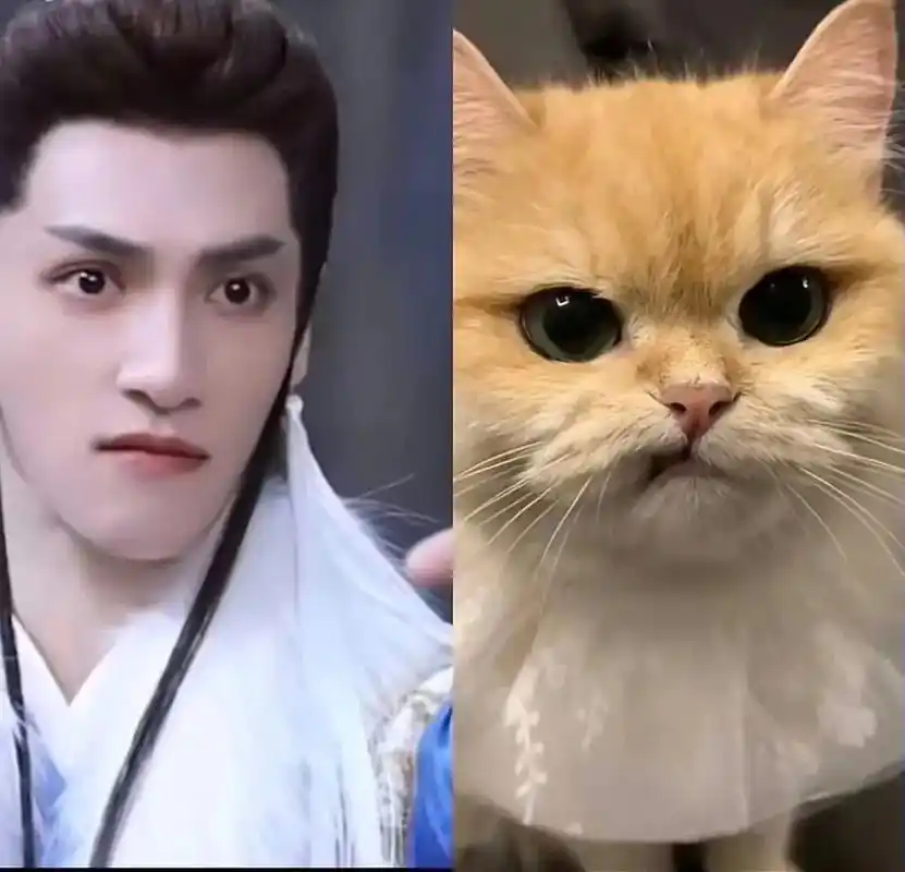 皓衣行播不播不是粉丝说了算的,粉丝的话又不 - 抖音