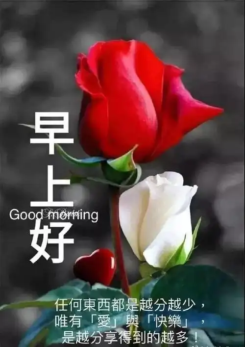 愿我小小的问候带给你快乐,早安,我的朋友!