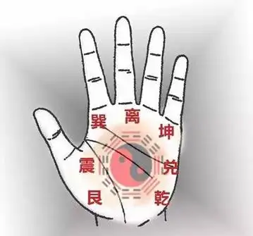 手掌上的八卦九宫代表什么含义