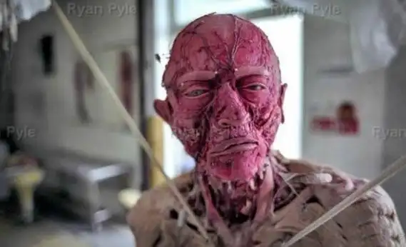 揭秘恐怖尸体加工厂 过程陌生又令人恐惧(1)_精彩图库_光明网