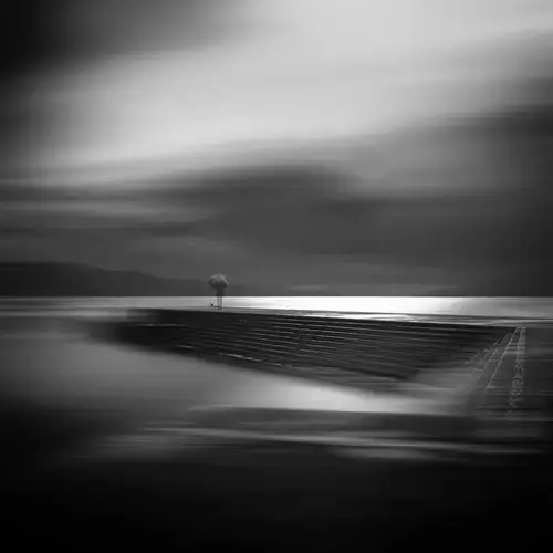 我被这黑白,惊艳到了