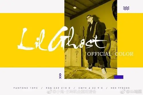 小鬼王琳凯应援色画像