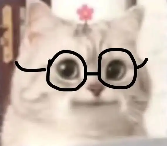 微笑小猫表情包戴眼镜可爱微笑小猫表情包猫咪斗图表情