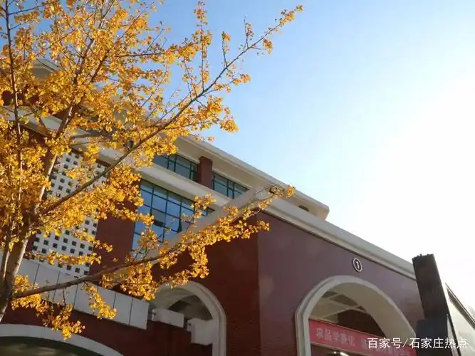 石家庄15中,为什么这么牛?