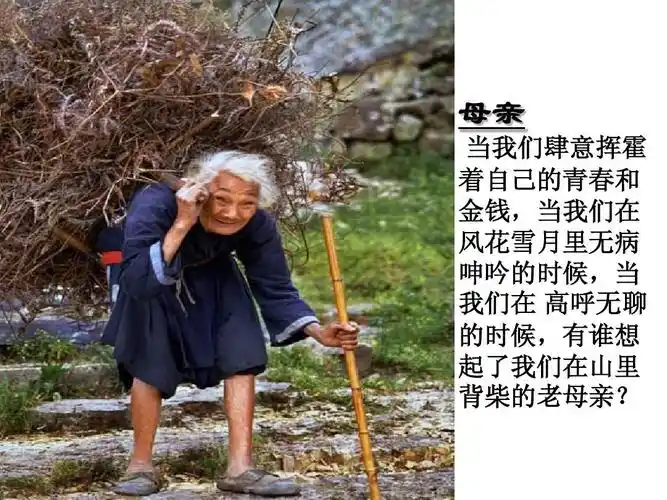 里 背柴的老母亲?