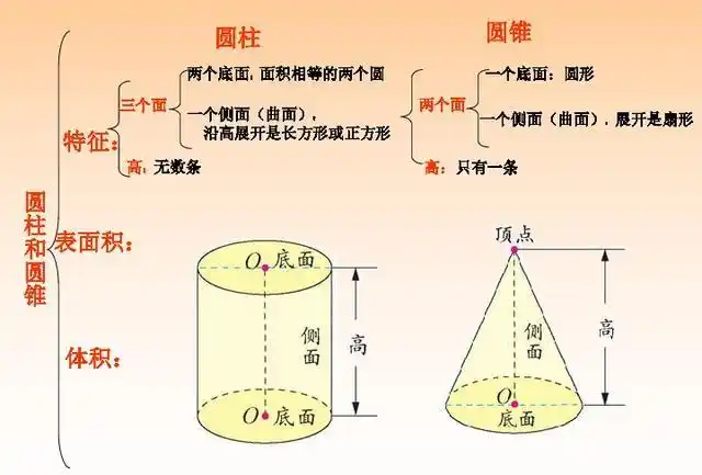 下面小编将北师大版六年级数学下册第一单元《圆柱与圆锥》的重点知识