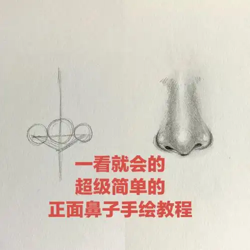 手绘教程  #手绘  #五官  #鼻子的画法  #零基础学画画  #全球宅家