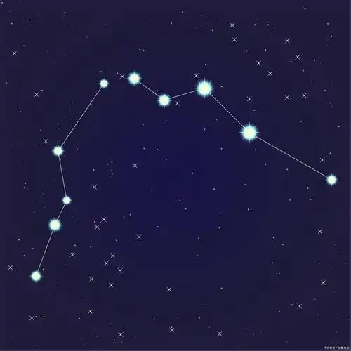 太阳星座:水瓶座简介