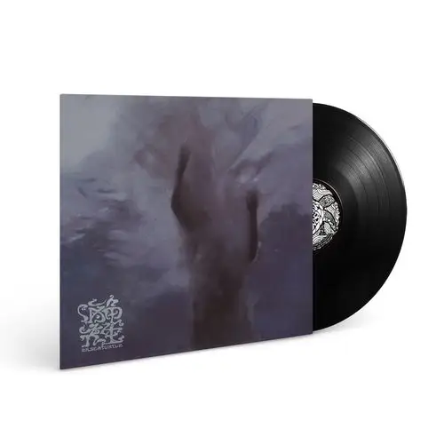 海龟先生海龟先生lp黑胶唱片12寸33转其它影音产品