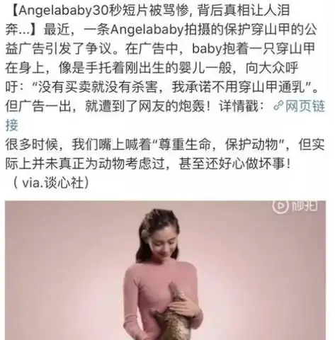 揭秘angelababy的黑历史,angelababy是怎样靠一张脸红遍全球的?