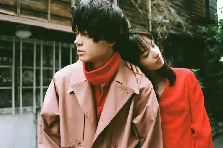 菅田将晖和小松菜奈新冠了快快好起来