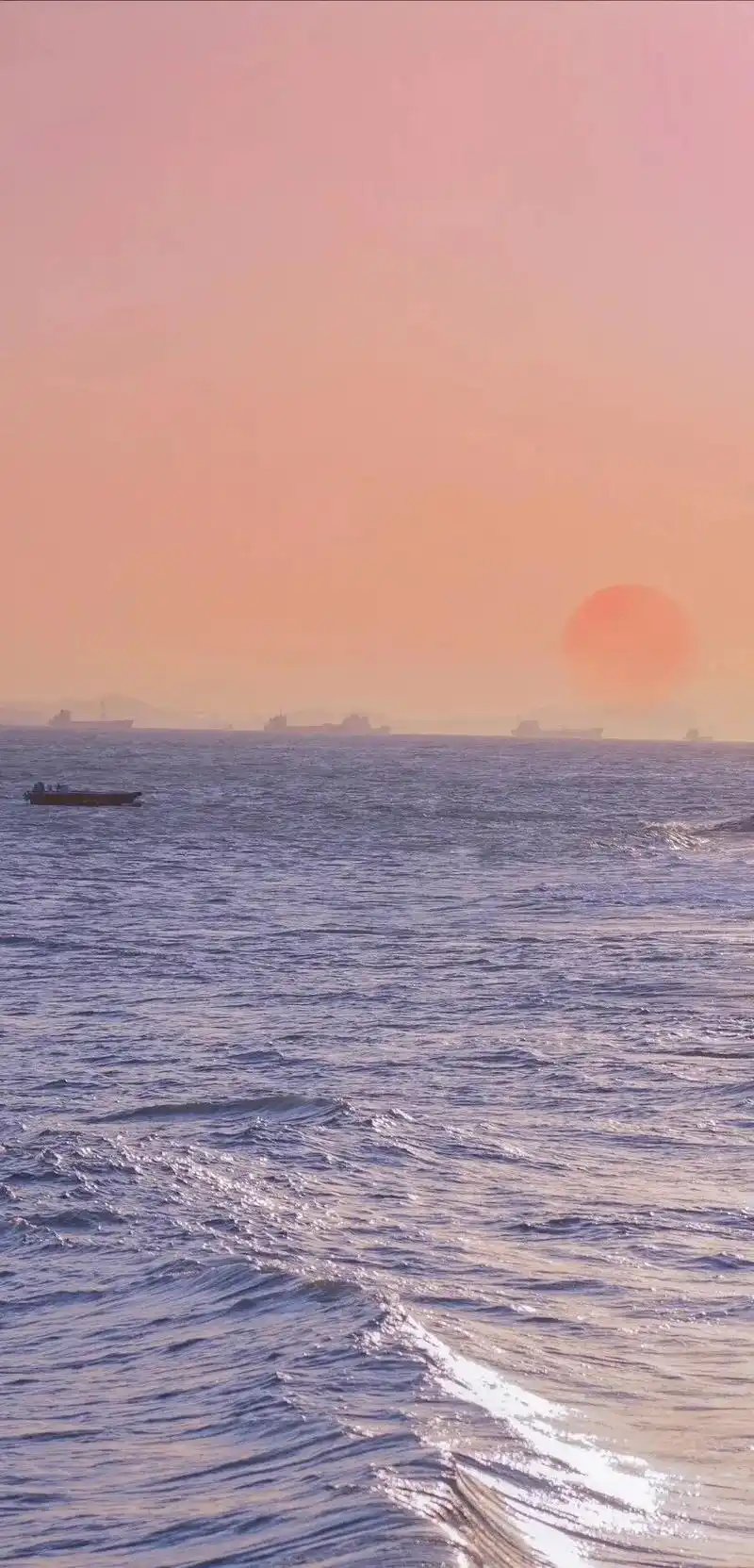 智者不入爱河#小众壁纸 #高级感壁纸 @抖音小助手  - 抖音