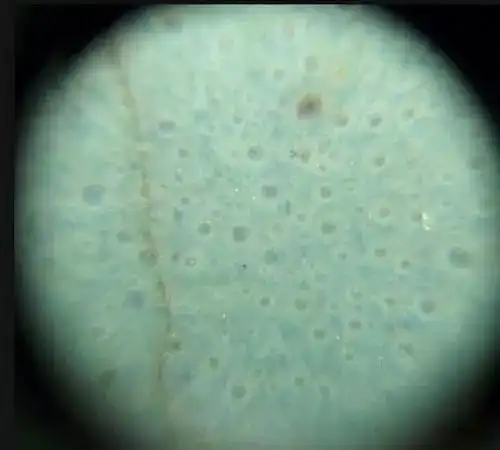 显微放大镜观察到北宋汝窑瓷器"柴火烧窑"气泡变混痕迹,气泡变形痕迹