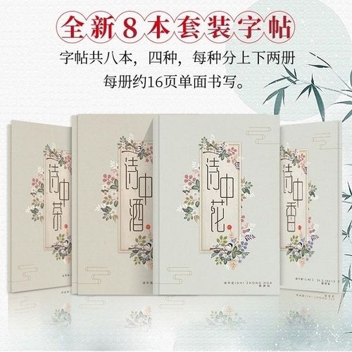 字帖女生字体漂亮簪花小楷字帖硬笔成人钢笔字帖楷书诗词练字帖