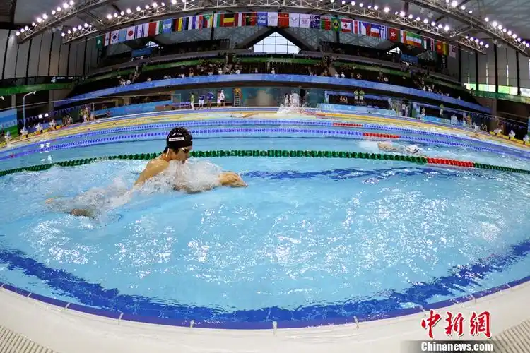 大运会游泳赛前运动员临阵磨枪