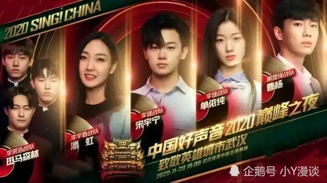 《好声音》冠军决定了?项目海报和学生简历已经说明了一切插图5