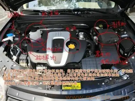 加防冻液在哪个部位位置 防冻液少了能直接加吗