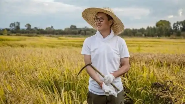 周杰不做演员做农民?自家稻田年产收入千万,却一件衣服穿8年!