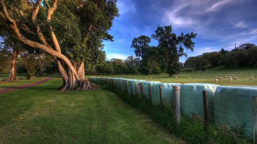 纯净大自然风光高清电脑桌面壁纸高清大图预览1920x1080_风景壁纸下载