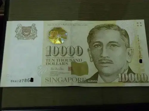 新加坡,有钱,就是这么任性!只看楼主