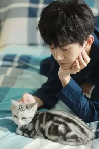 易烊千玺撸猫的样子