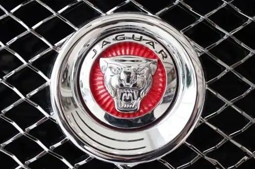 捷豹的车标是一头跃起的豹子,在前几年的时候旗下车型都配备图中跃起