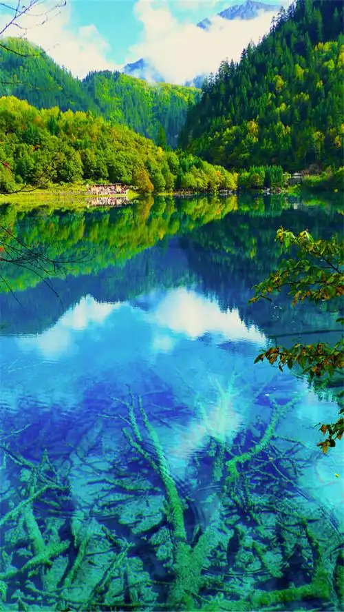 人间仙境九寨沟唯美风景精选手机壁纸图片大全下载