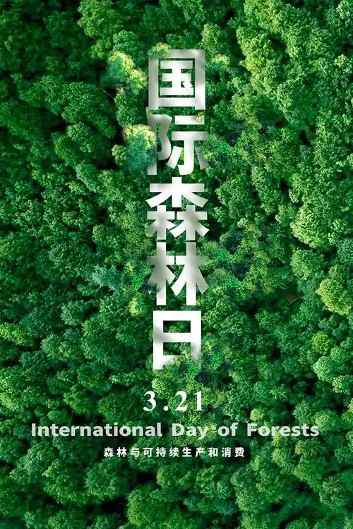 应急科普今天是国际森林日这些你知道吗