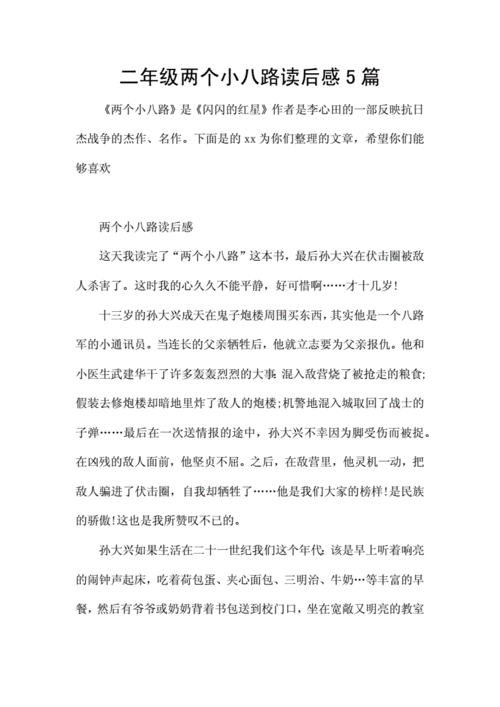 二年级两个小八路读后感5篇docx7页