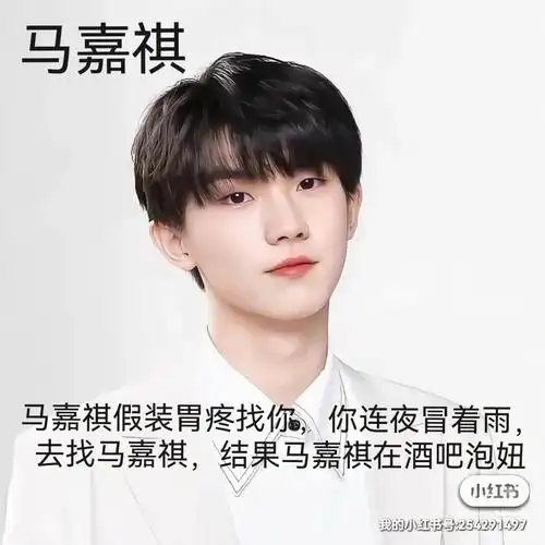 马嘉祺虐转甜文第十五章