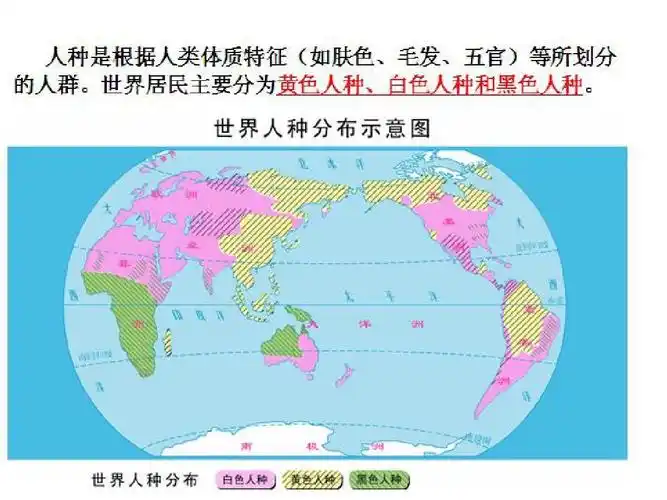 第二节 世界的人种,语言和宗教ppt