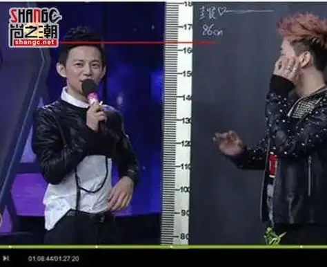 撒贝宁身高真实身高163