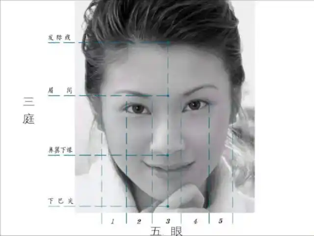 "三庭五眼"示意图.受访者供图