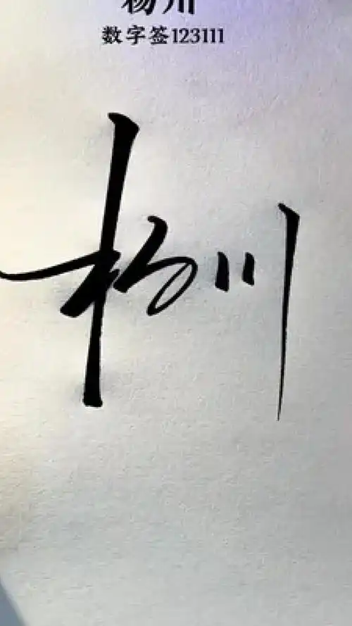 签名设计 #艺术签名 #商务签名 #数字签