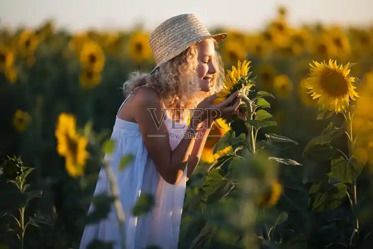 快乐漂亮的女孩在白色的连衣裙有乐趣在黄色的向日葵的