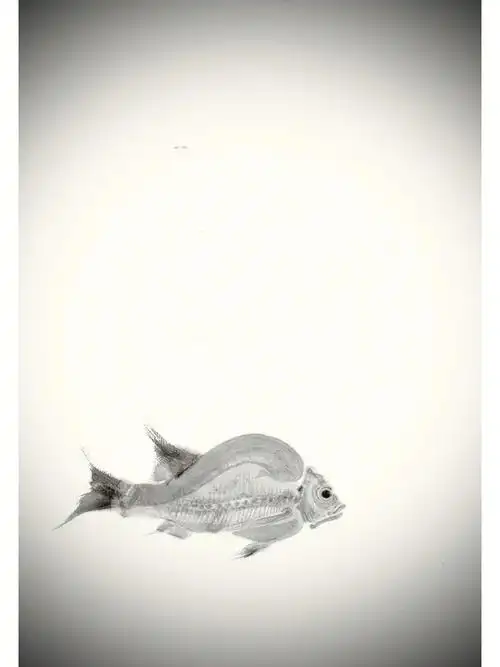 子非鱼安知鱼之乐