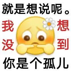 就这样吧