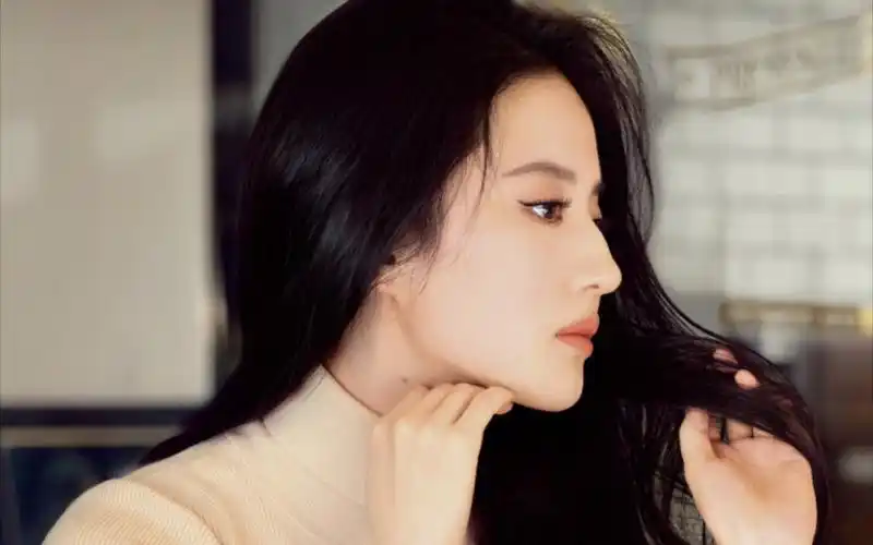 女娲毕设之刘亦菲的绝美侧颜!