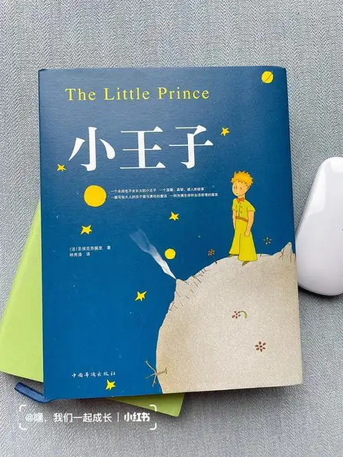 读书分享小王子值得用一生去推荐的书籍