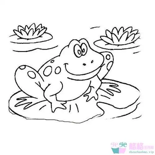青蛙趴在荷花上简笔画