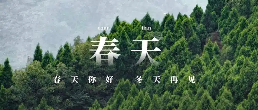 微光曲春光庾澄庆春泥温柔的人呐去感受春天吧