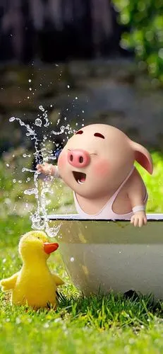 刷爆抖音的猪猪壁纸!