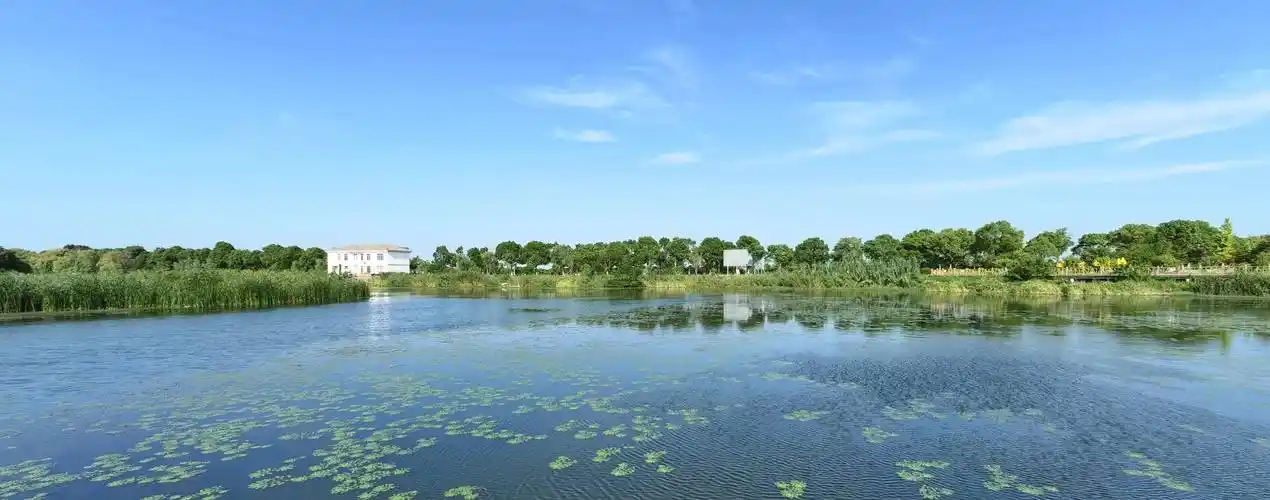 长荡湖湿地公园,位于溧阳上黄镇的西北部,景色优美值得一游_休闲_游人