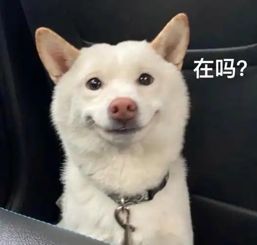 好多可爱有趣的表情包