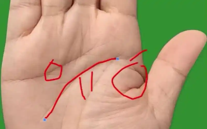 晚年能享福的手相!