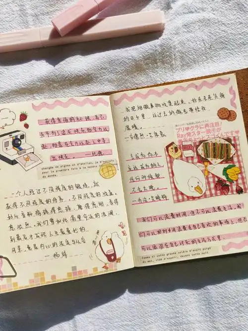 粉嫩的可爱鸭鸭们00手帐文字摘抄