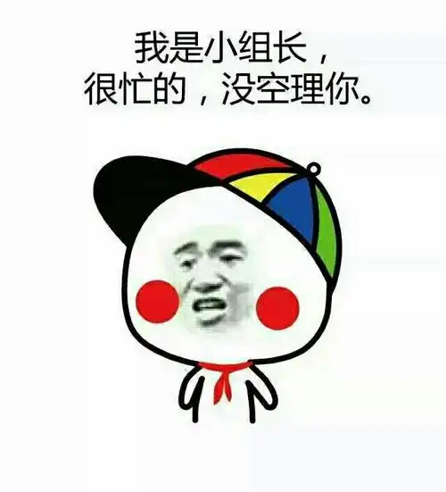 我是小组长,很忙的,没空理你